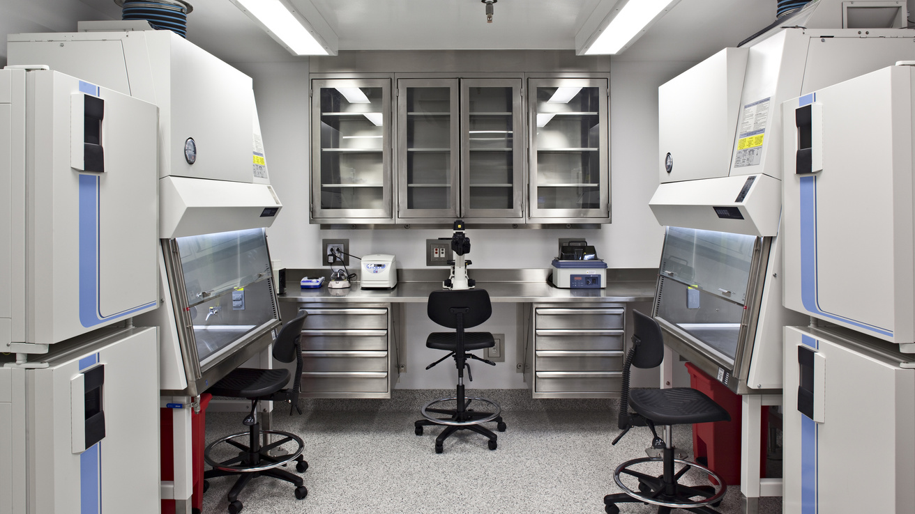 Cell culture bay with hoods and incubators